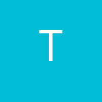 trevi_99